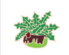 Plants Pins